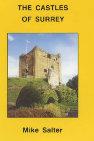 Cover of The Castles of Surrey