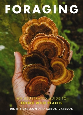 Book cover for Foraging