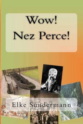 Book cover for Wow! Nez Perce!