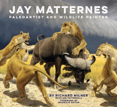 Book cover for Jay Matternes