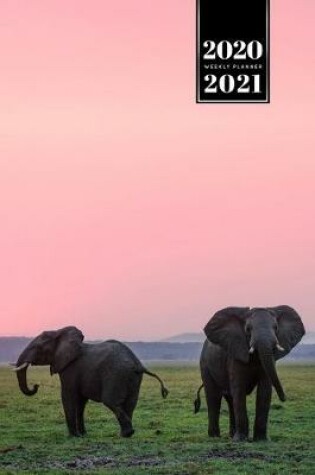 Cover of Elephant Mammoth Week Planner Weekly Organizer Calendar 2020 / 2021 - Sunset in Savannah
