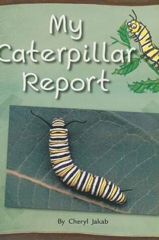 Cover of My Caterpillar Report