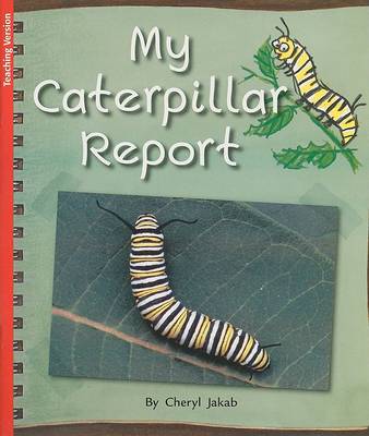 Book cover for My Caterpillar Report