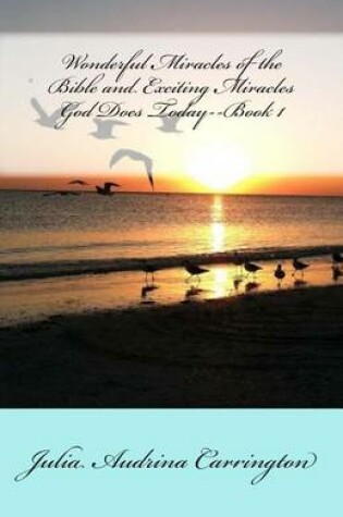 Cover of Wonderful Miracles of the Bible and Exciting Miracles God Does Today--Book 1