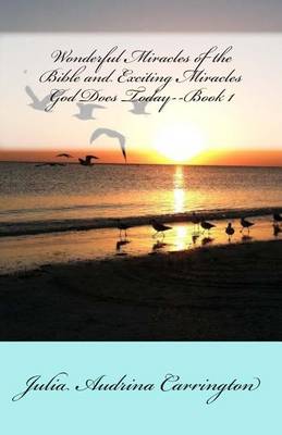 Book cover for Wonderful Miracles of the Bible and Exciting Miracles God Does Today--Book 1