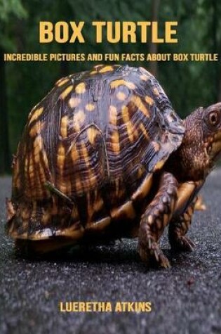 Cover of Box Turtle