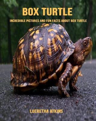 Book cover for Box Turtle