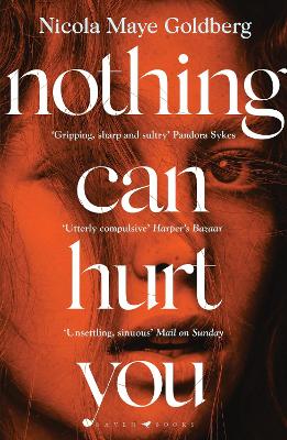 Book cover for Nothing Can Hurt You