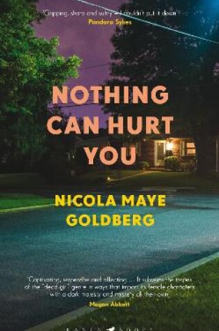 Cover of Nothing Can Hurt You