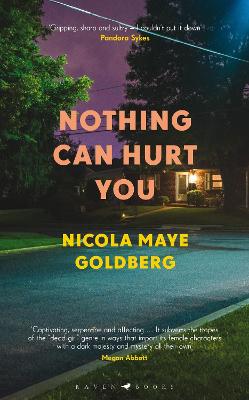 Book cover for Nothing Can Hurt You