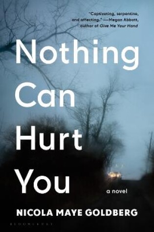 Cover of Nothing Can Hurt You