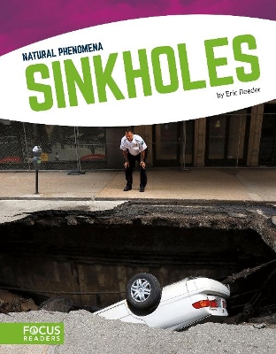 Book cover for Sinkholes