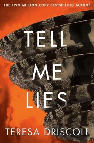 Cover of Tell Me Lies