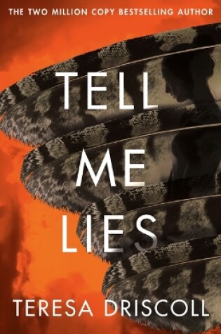 Cover of Tell Me Lies