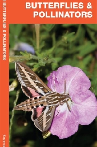 Cover of Hawaii Butterflies & Pollinators