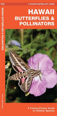 Book cover for Hawaii Butterflies & Pollinators
