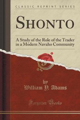 Book cover for Shonto