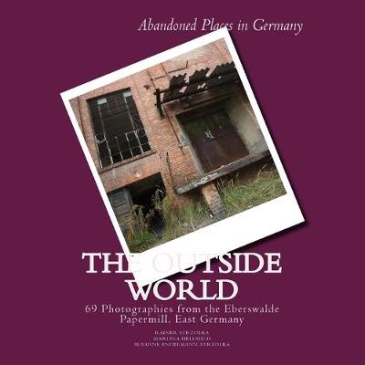 Book cover for The Outside World