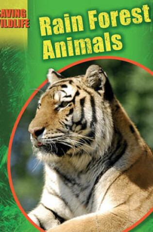 Cover of Rain Forest Animals