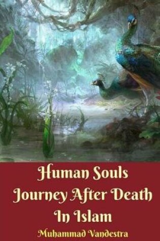 Cover of Human Souls Journey After Death In Islam