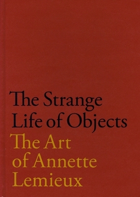 Book cover for The Strange Life of Objects