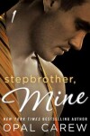 Book cover for Stepbrother, Mine #1