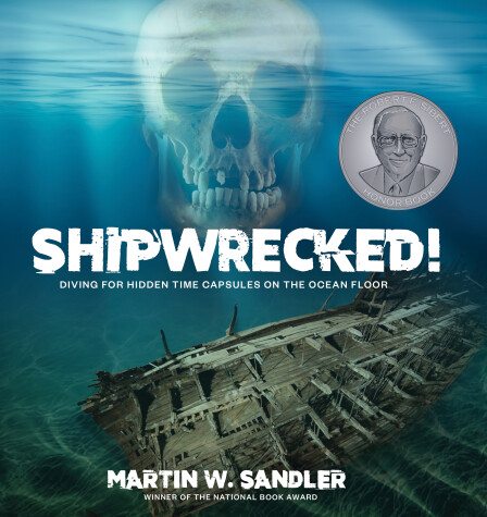 Book cover for Shipwrecked!