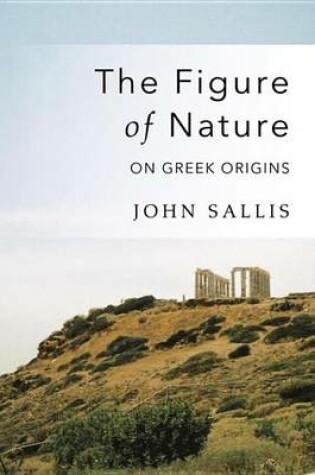 Cover of The Figure of Nature