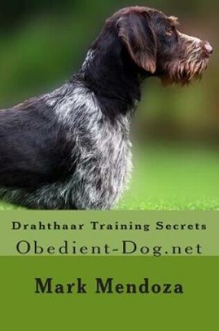 Cover of Drahthaar Training Secrets