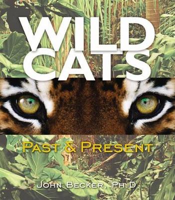 Book cover for Wild Cats