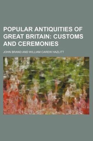 Cover of Popular Antiquities of Great Britain