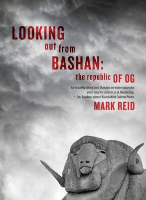 Book cover for Looking Out from Bashan