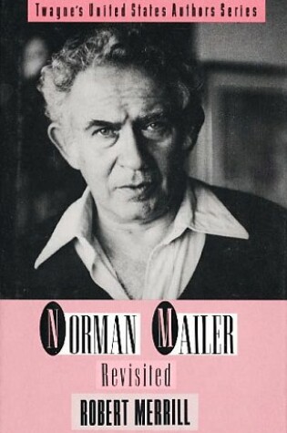 Cover of Norman Mailer Revisited