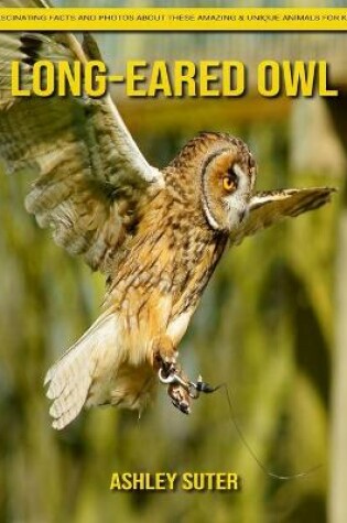 Cover of Long-eared owl
