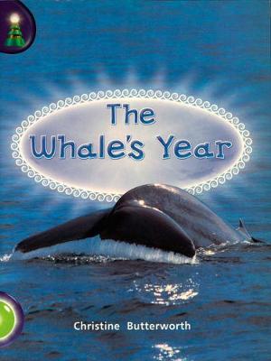 Book cover for Lighthouse Year 1 Green: The Whale's Year