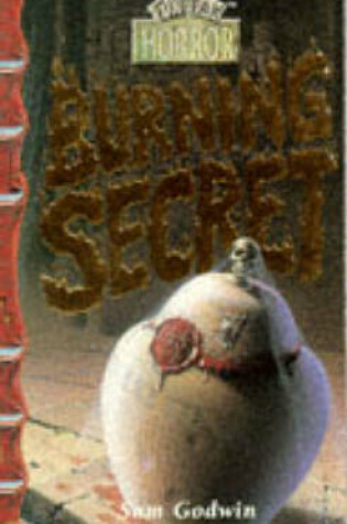 Cover of Burning Secret