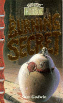 Book cover for Burning Secret