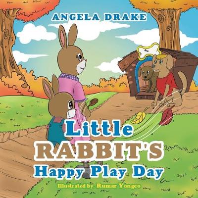 Book cover for Little Rabbit's Happy Play Day