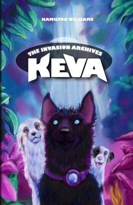 Book cover for Keva