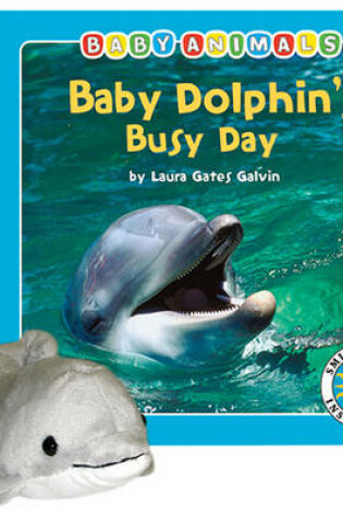 Cover of Baby Dolphin's Busy Day