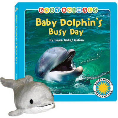 Book cover for Baby Dolphin's Busy Day