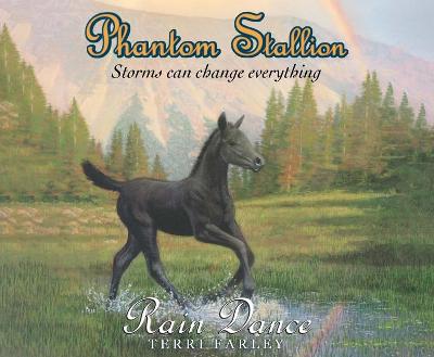 Cover of Phantom Stallion