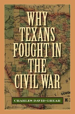 Book cover for Why Texans Fought in the Civil War