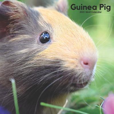 Book cover for Guinea Pig 2021 Wall Calendar