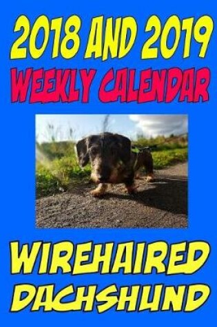 Cover of 2018 and 2019 Weekly Calendar Wirehaired Dachshund