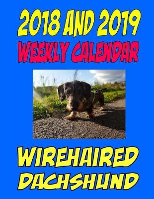 Book cover for 2018 and 2019 Weekly Calendar Wirehaired Dachshund