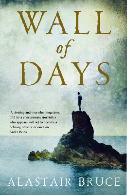 Book cover for Wall Of Days