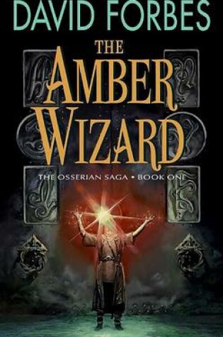 Cover of The Amber Wizard