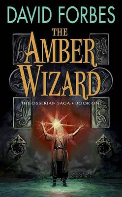 Cover of The Amber Wizard