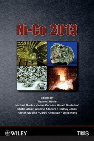 Cover of Ni-Co 2013